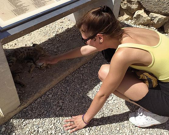 A woman crouches down to pet an orange tabby cat laying in the shade of a tourist sign.